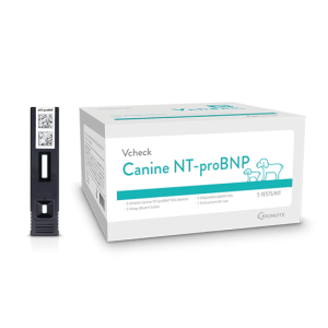 Canine-NT-proBNP