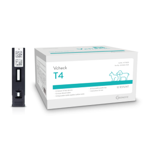 T4