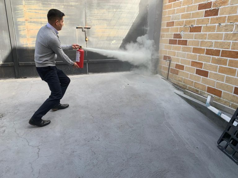 WhatsApp Image 2025-07-28 at 12.08.31 PM (1)