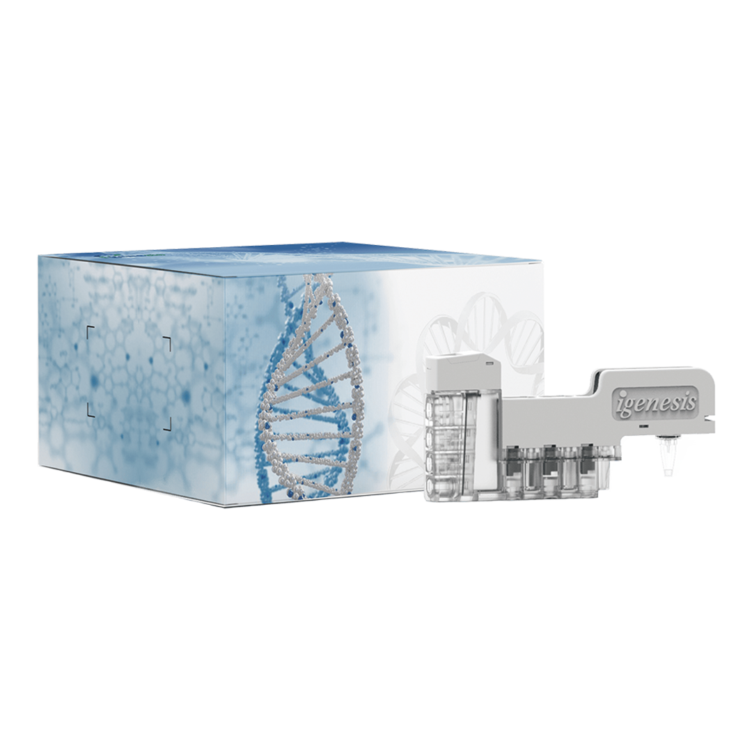 Kit de Diagnóstico de ARN de Coxsackievirus A6/A10/A16/Enterovirus 71